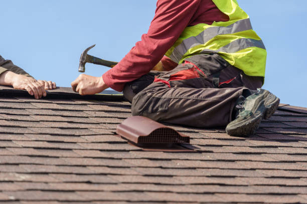 Best Roof Leak Repair  in Jenison, MI