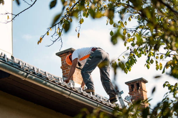 Residential Roof Replacement in Jenison, MI