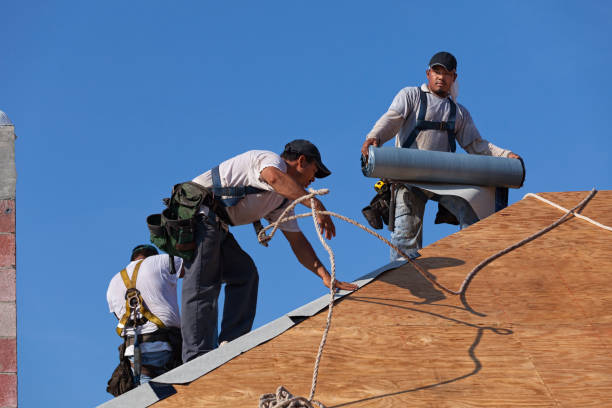 Best New Roof Installation  in Jenison, MI