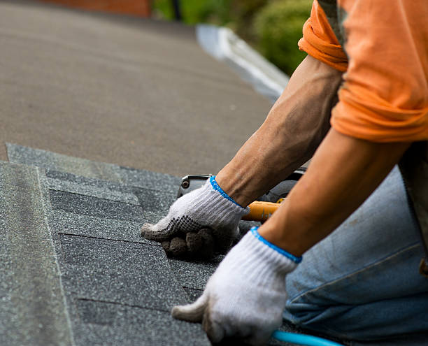 Best Commercial Roofing Services  in Jenison, MI