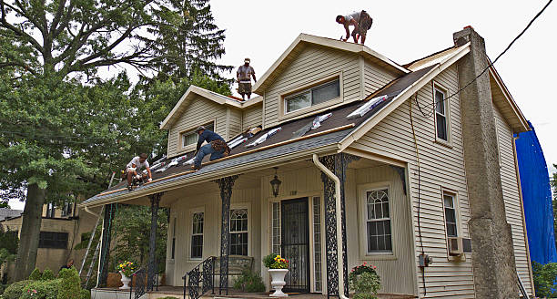 Professional Roofing Contractor in Jenison, MI