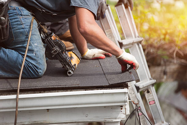 Best Roof Gutter Cleaning  in Jenison, MI