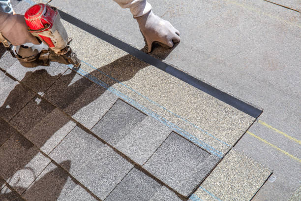 Best Residential Roof Replacement  in Jenison, MI