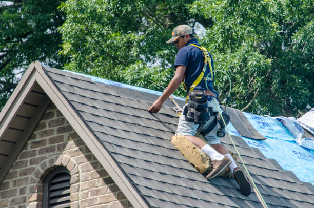 Best Emergency Roof Repair  in Jenison, MI